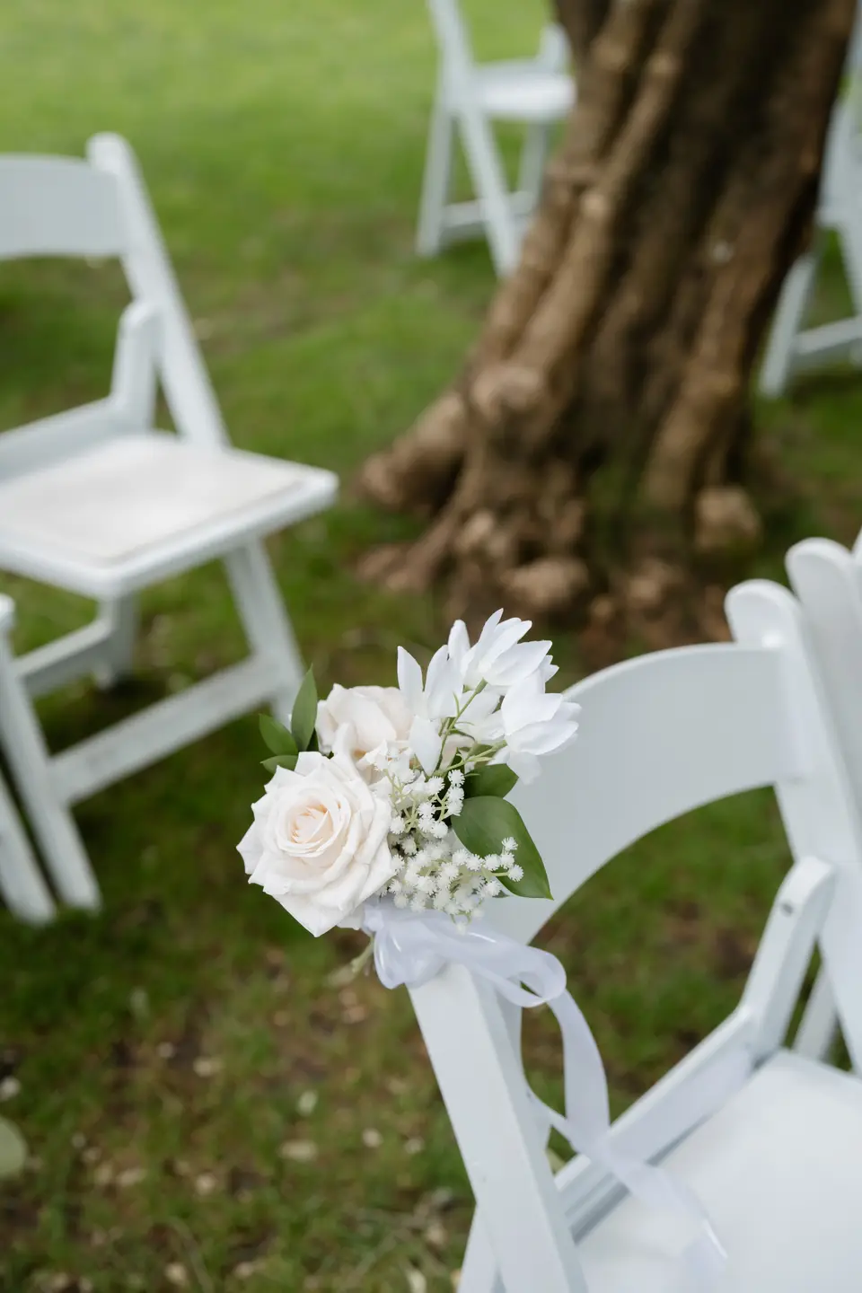 White rose chair-back flowers with sheer ribbon at the Markovina ceremony